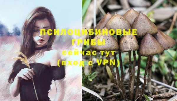 бутират Липки
