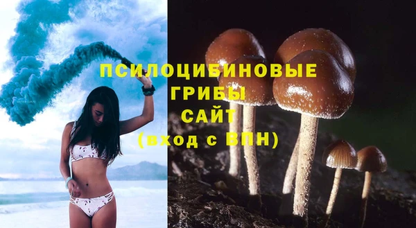 a pvp Майский
