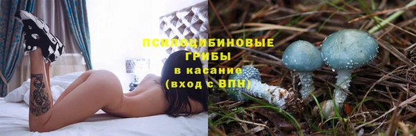 бутират Липки
